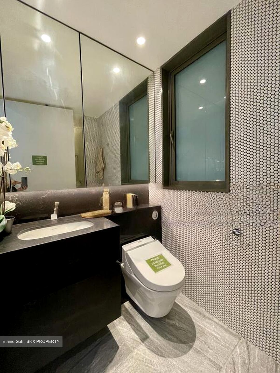 10 Evelyn (D11), Apartment #479946121